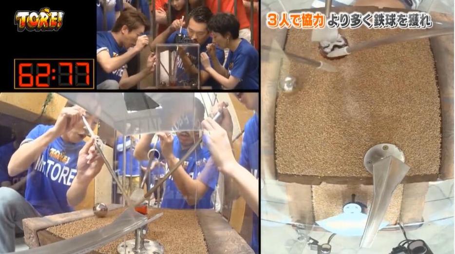 日本综艺新玩法出炉，整蛊游泳让你欢声笑语