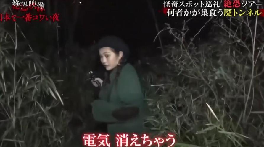 《世界恐怖之夜》在哪里可以看？