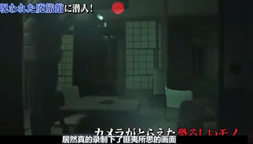 完美绽放恐怖魅力：《世界恐怖之夜》在线观看全程回顾