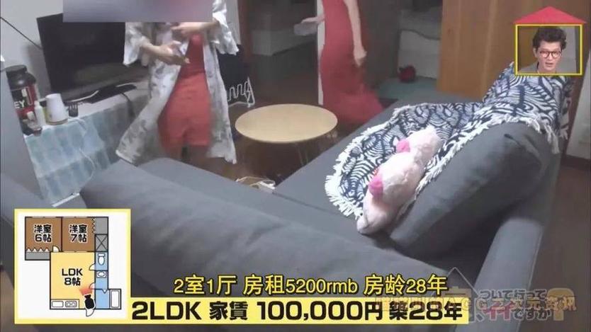 探秘日本综艺祖女三人的独家采访，想知道她们的生活吗？