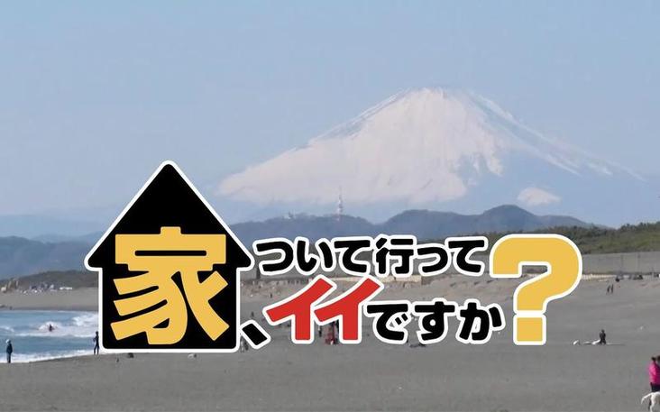 在线观看真爱说真话日本综艺，探究日本婚恋文化的秘密